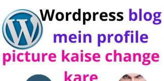 WordPress Blog Me Author profile picture kaise change kare Wordpress Blog me author profile picture kaise change kare